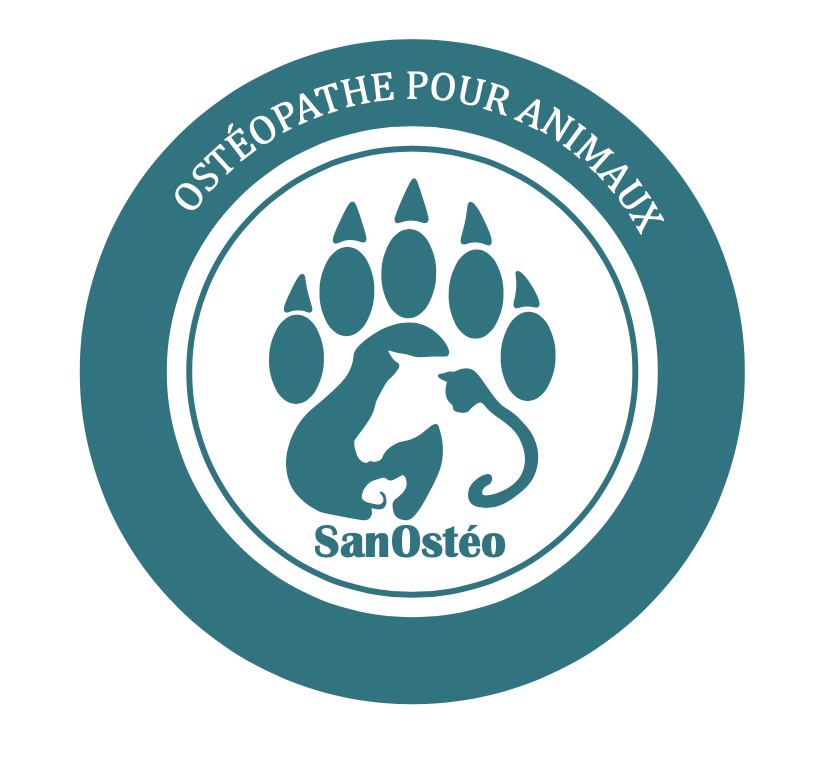 SanOstéo - Julie Le Masson - Ostéopathe pour animaux à Caen